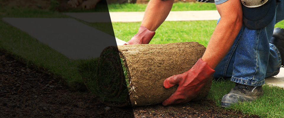 West Columbia Landscapers